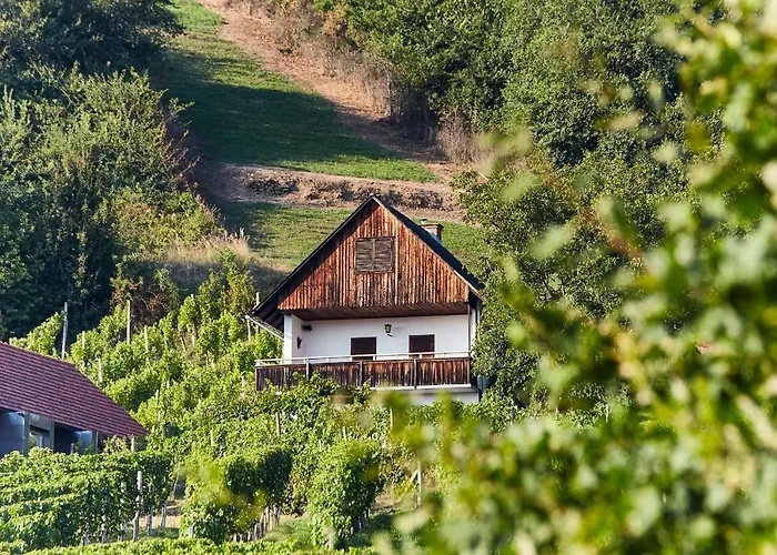 Weinberg Lodge - Kellerstoeckl