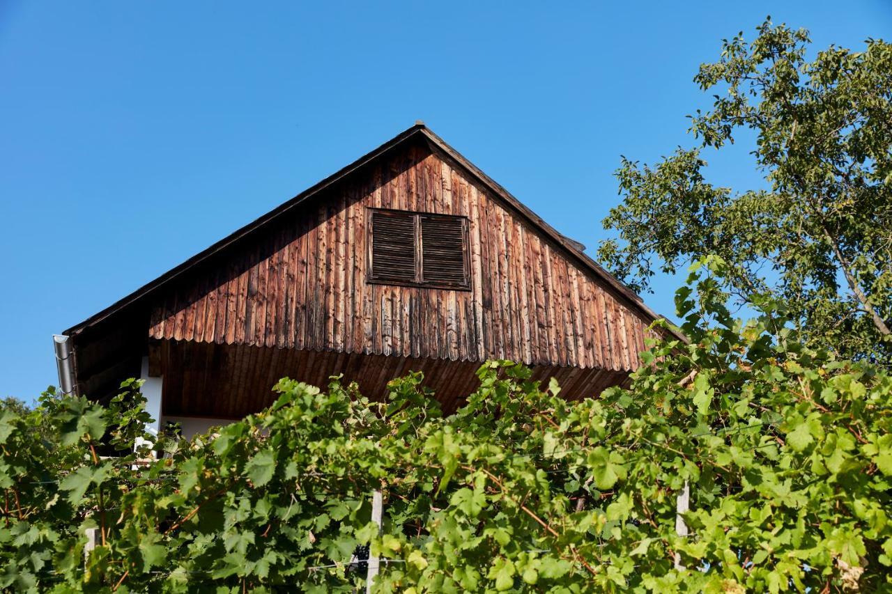 Weinberg - Kellerstoeckl Lodge Kloch